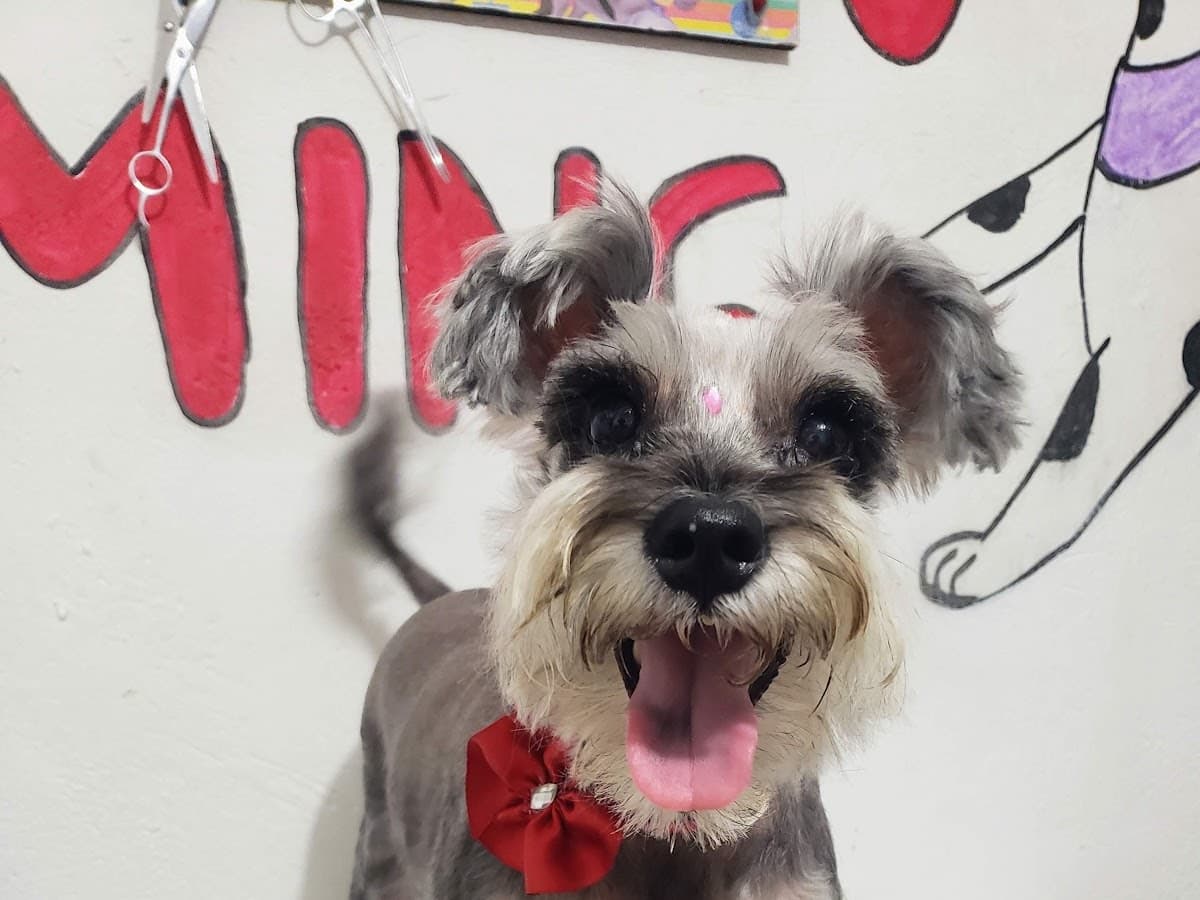 Centro veterinario canis — foto