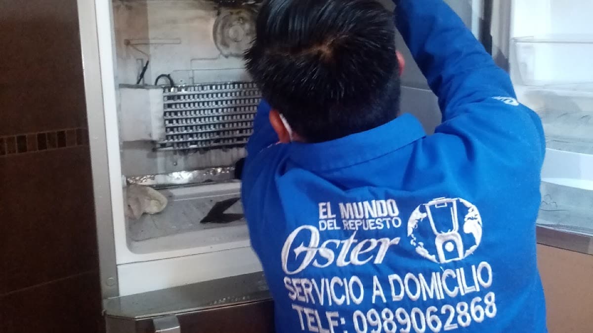 El Mundo Del Repuesto Oster