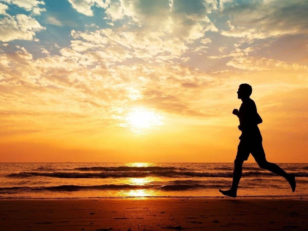 Palm Beach Fitness