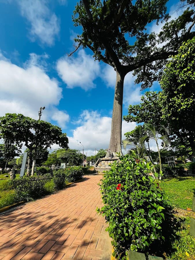 Parque la Lupuna mirador pucallpa