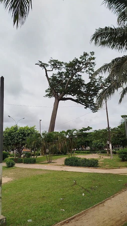 Parque la Lupuna mirador pucallpa — foto