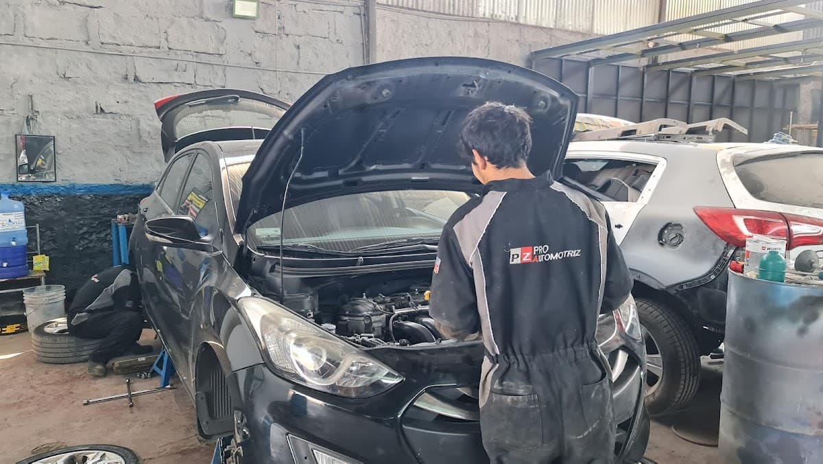 PZ PRO Automotriz