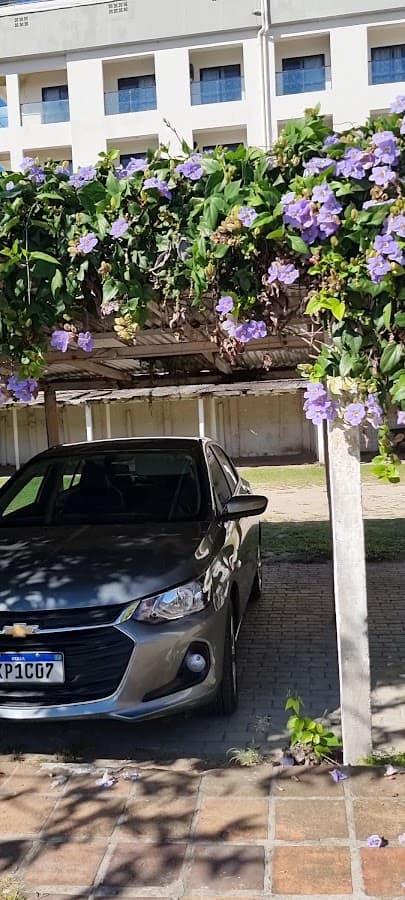 Topo Aluguel de Carros — foto