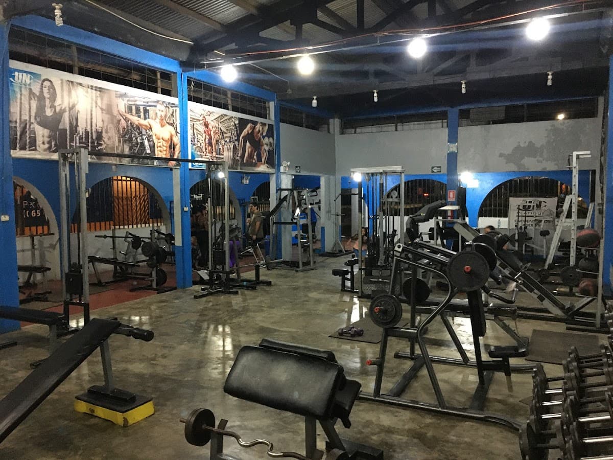 Búfalo Gym