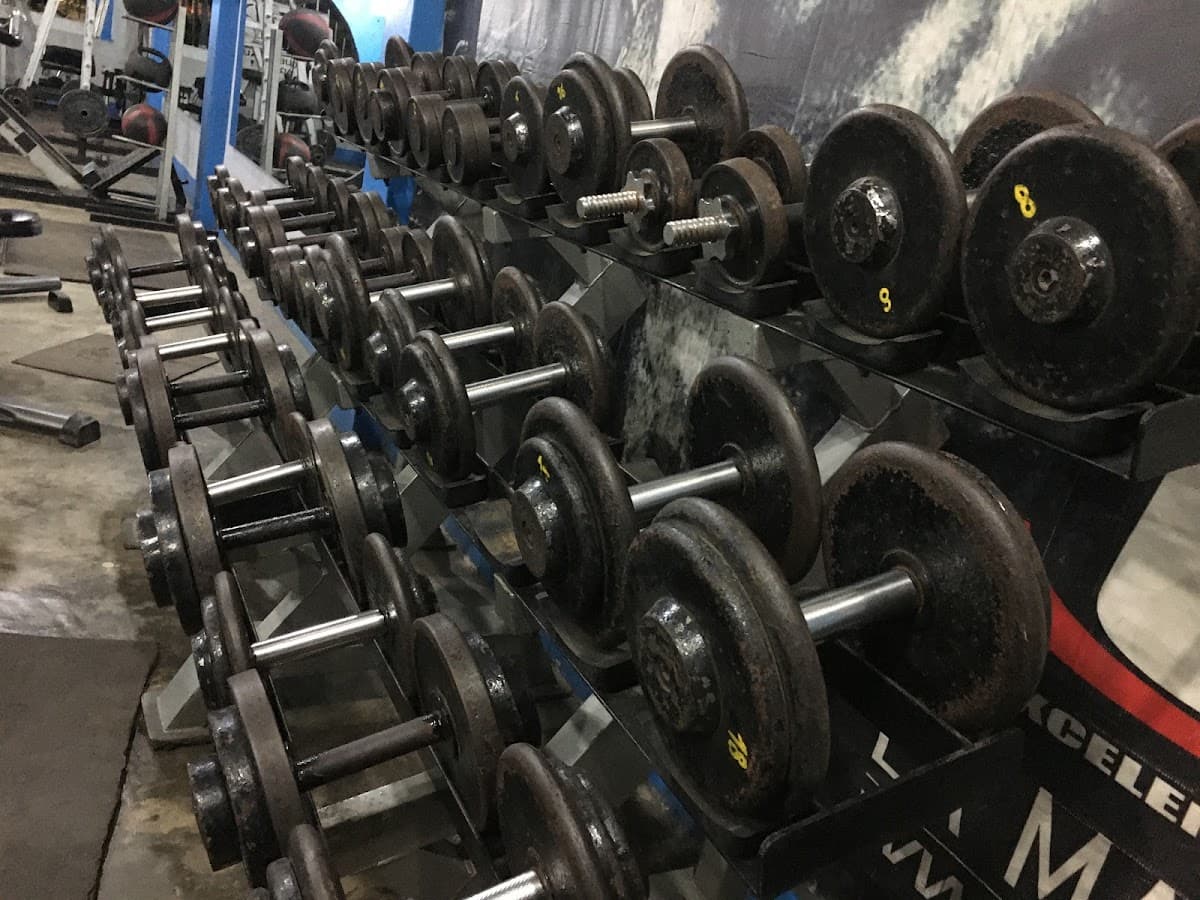 Búfalo Gym — foto