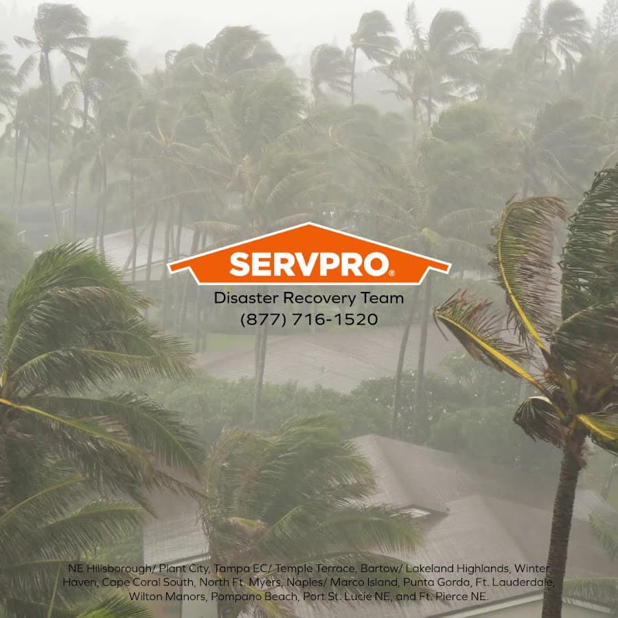 SERVPRO of Tampa East Central, Temple Terrace — foto