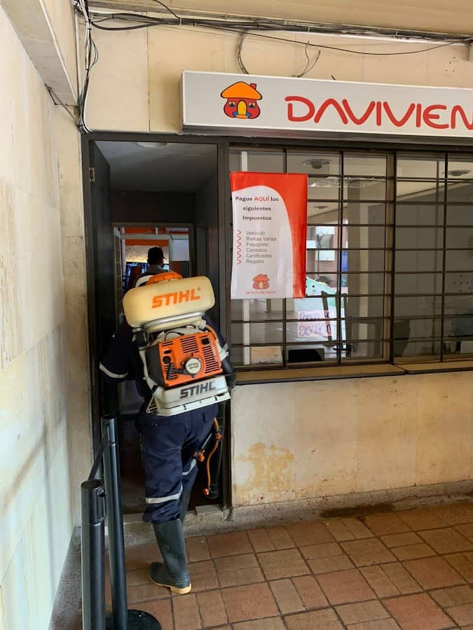 Fumigaciones Especializadas y Control de Plagas J Silva Ingeniería Neiva Huila — foto