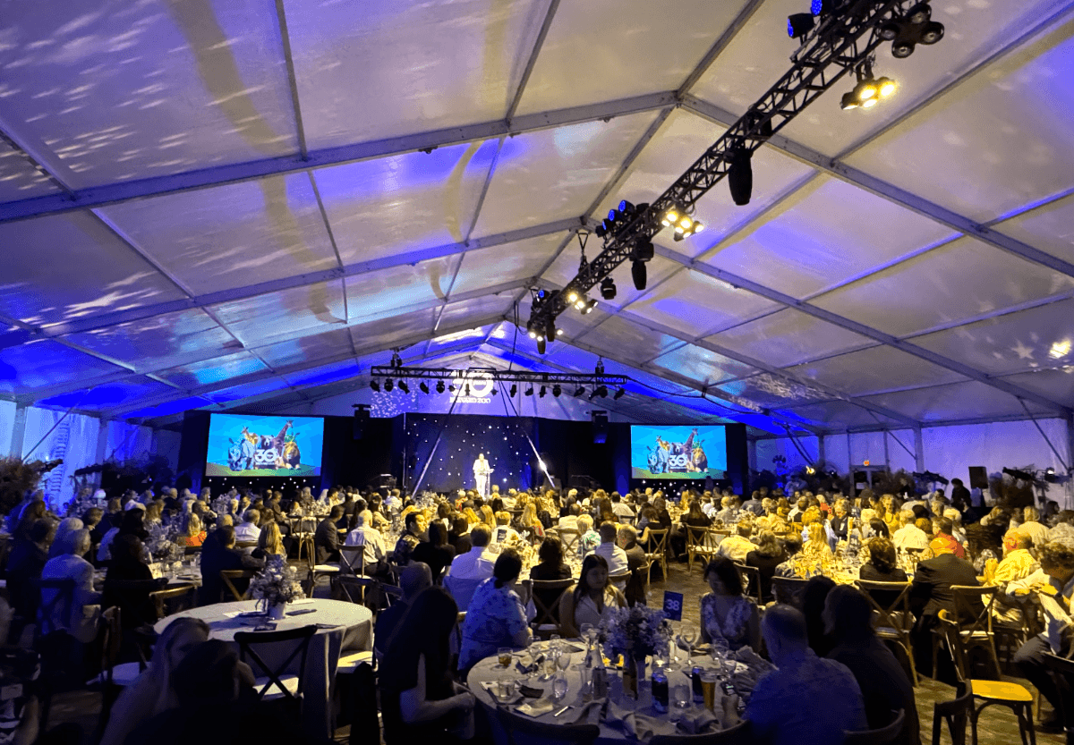 aXis Production and Events — foto