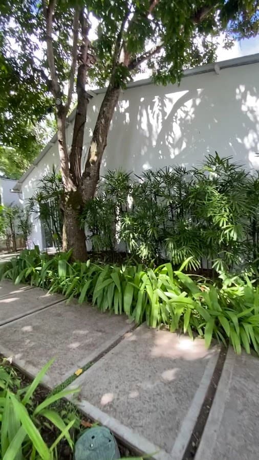 Centro de Arte Los Galpones — foto