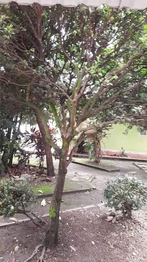 Villavicencio — foto