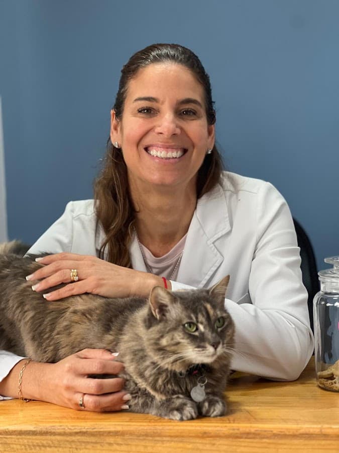 Gattos Clinica Especializada en Medicina Felina — foto