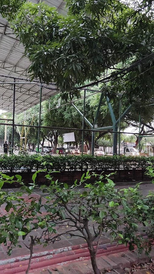 Parque La Canasta -- Ceiba — foto