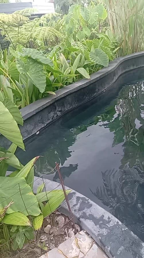 Acquaparque Del Otoño — foto
