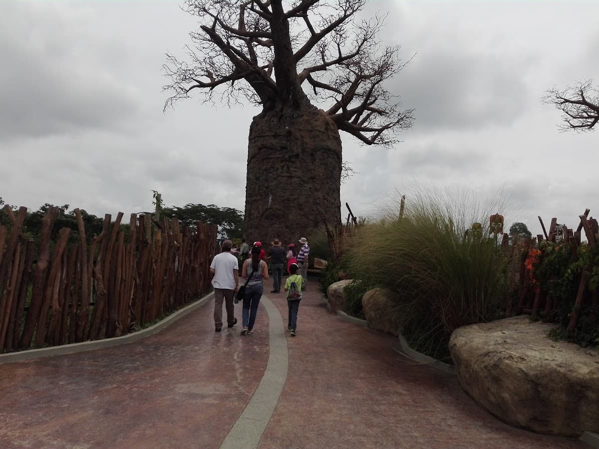 Parque Aniversario 2 — foto