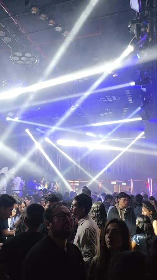 Filin Disco — foto
