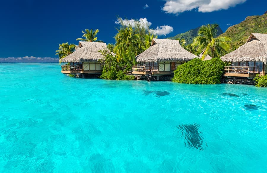 Nicole's Getaways Dream Vacations — foto
