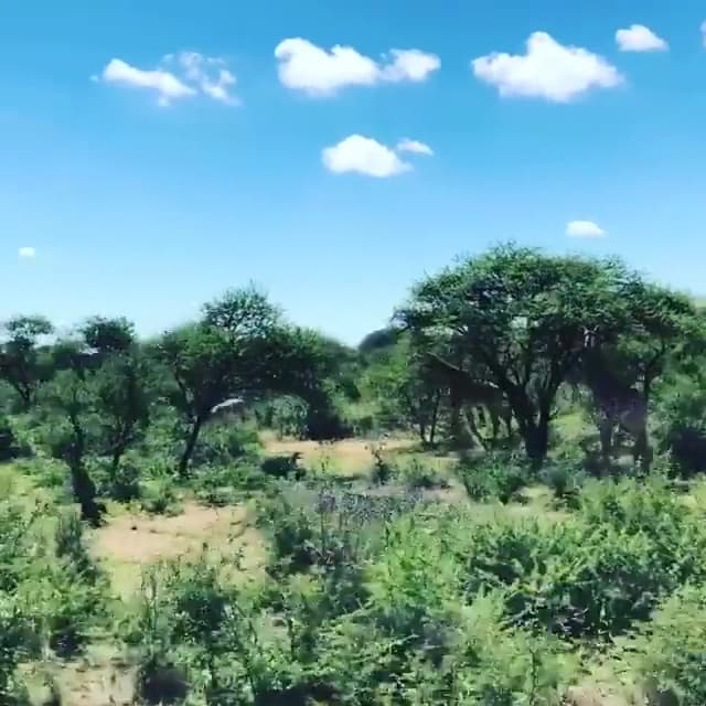Nicole's Getaways Dream Vacations — foto