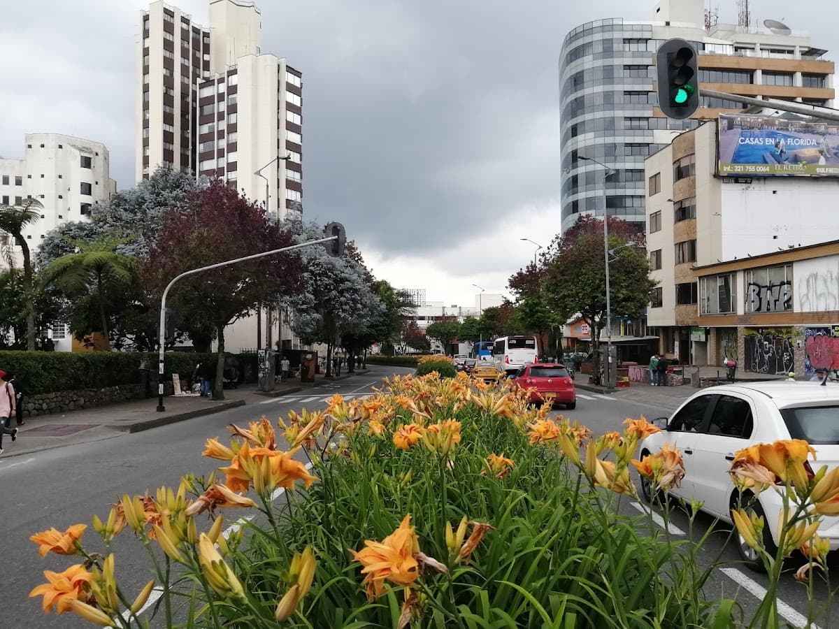 Manizales