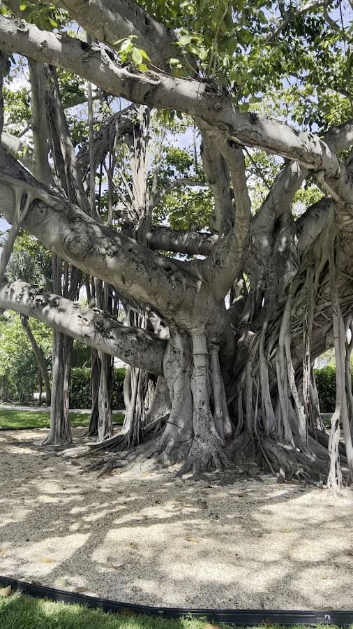 Providencia Park — foto