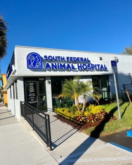 South Federal Animal Hospital