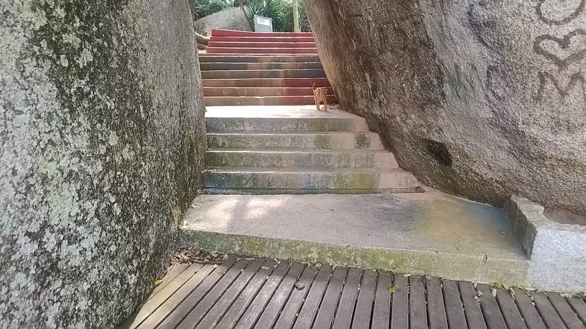 Mirante da Praia das Palmeiras — foto