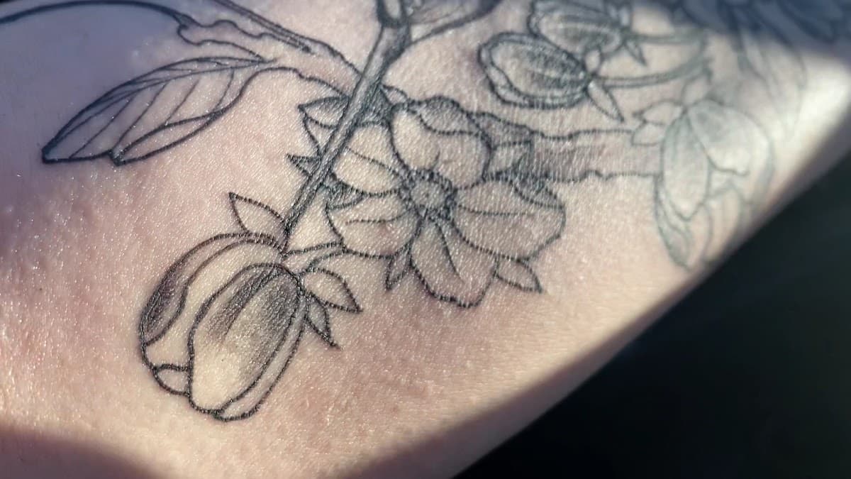 Stigma Ink Tattoo Studio — foto