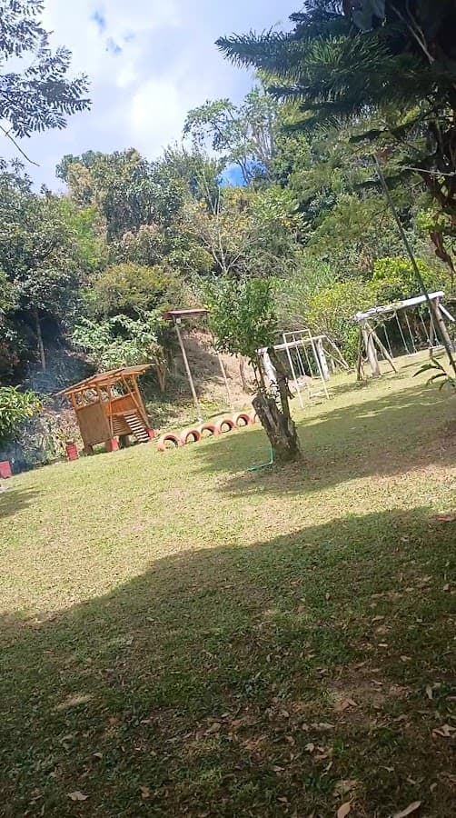 Amaranta — foto