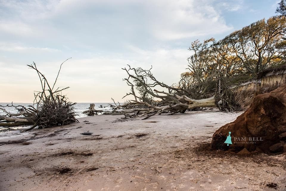 Big Talbot Island State Park