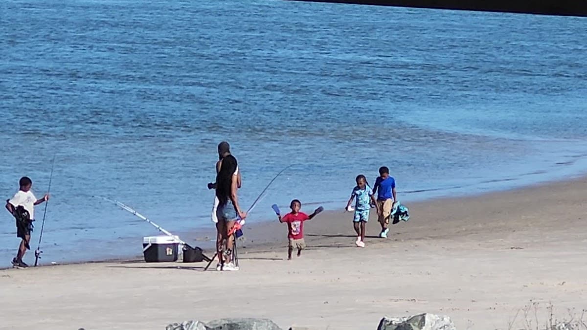 Big Talbot Island State Park — foto