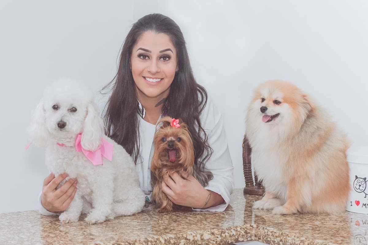 Animal Clinic