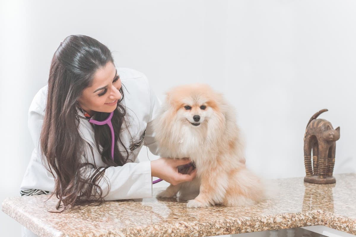 Animal Clinic — foto