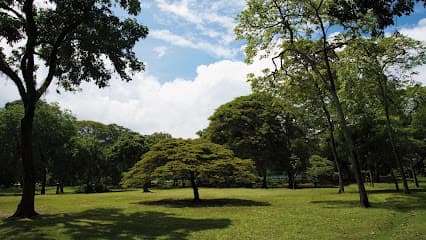 Jardín Botánico de Medellín — foto