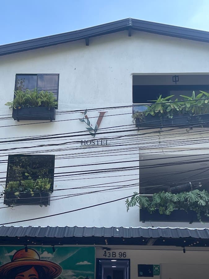 Vida Hostel — foto