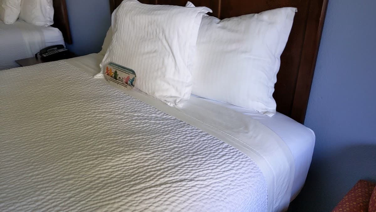 Hotel South Tampa & Suites — foto
