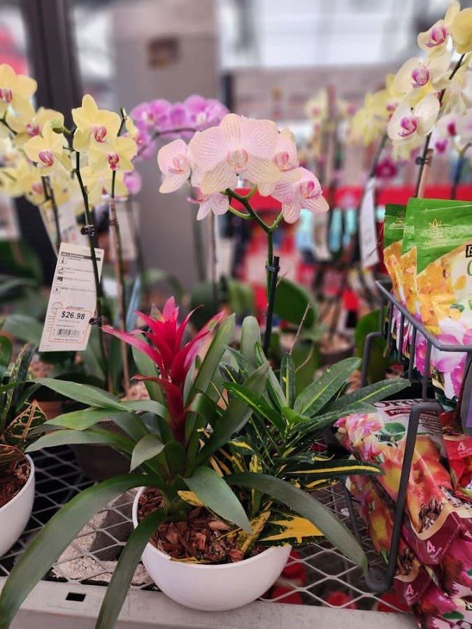 The Home Depot — foto
