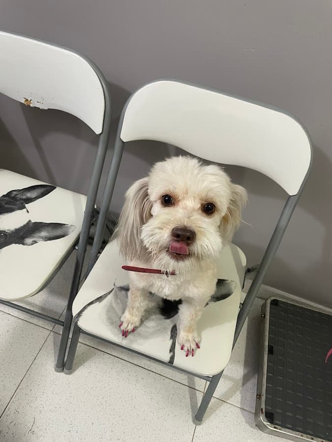 Clínica Veterinaria PARDO VET