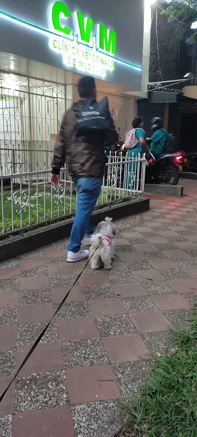 Clínica Veterinaria de Medellín — foto