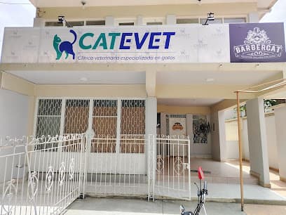 CatEvet — foto