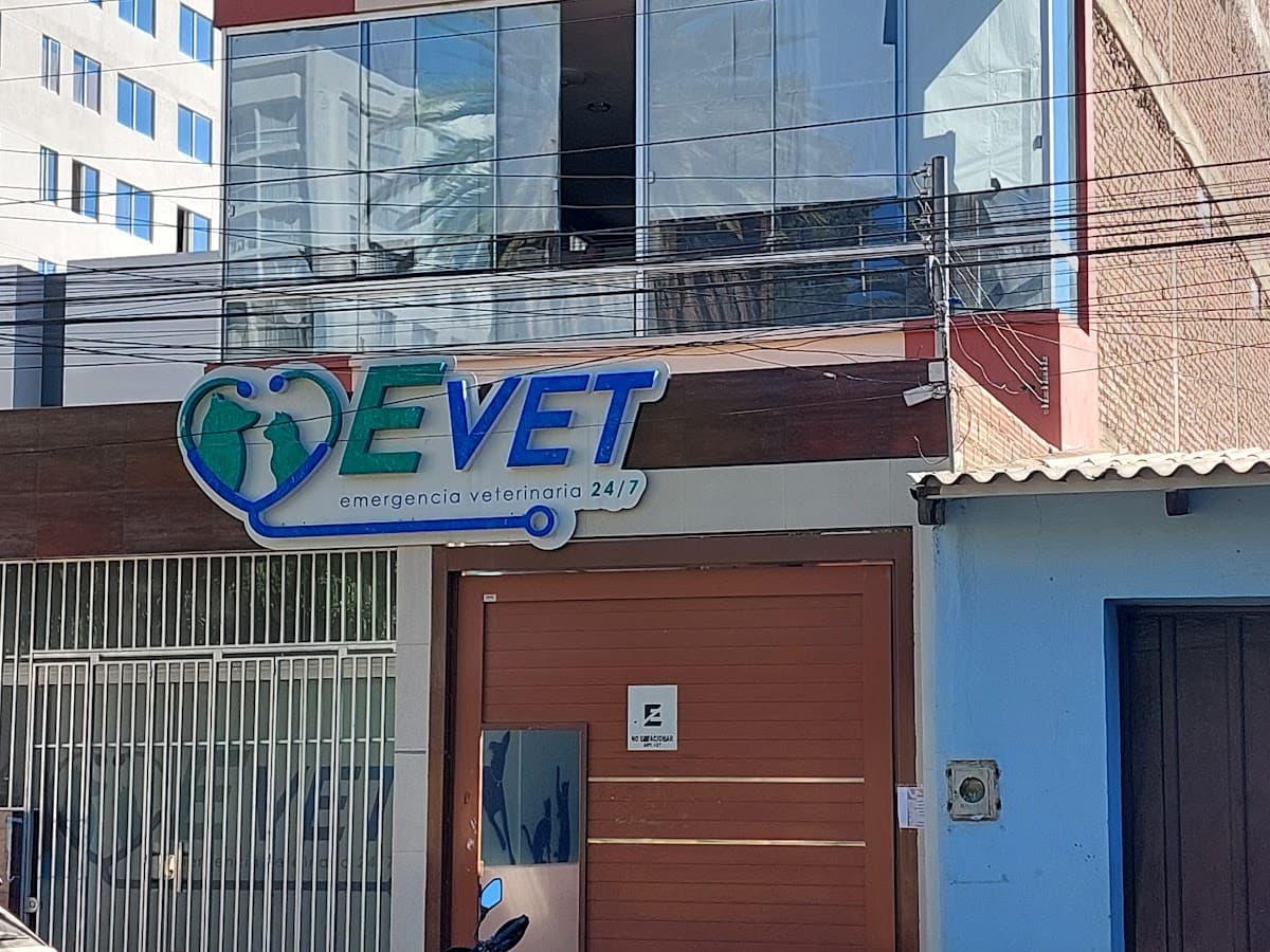CatEvet — foto