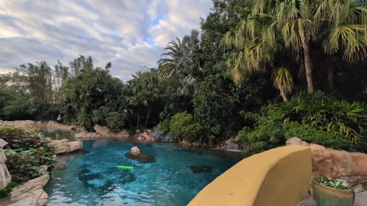 Discovery Cove — foto