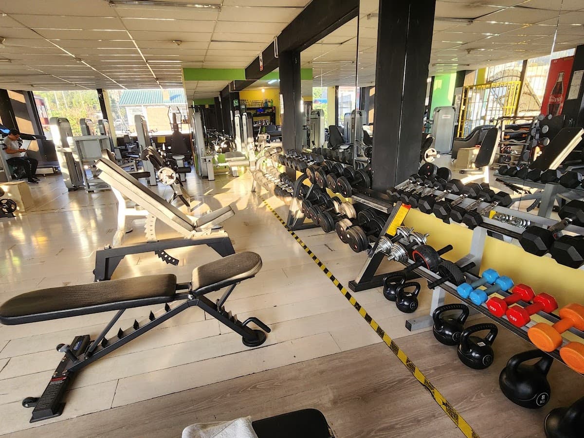 Elite Fitness Gym Pablo Cruz — foto