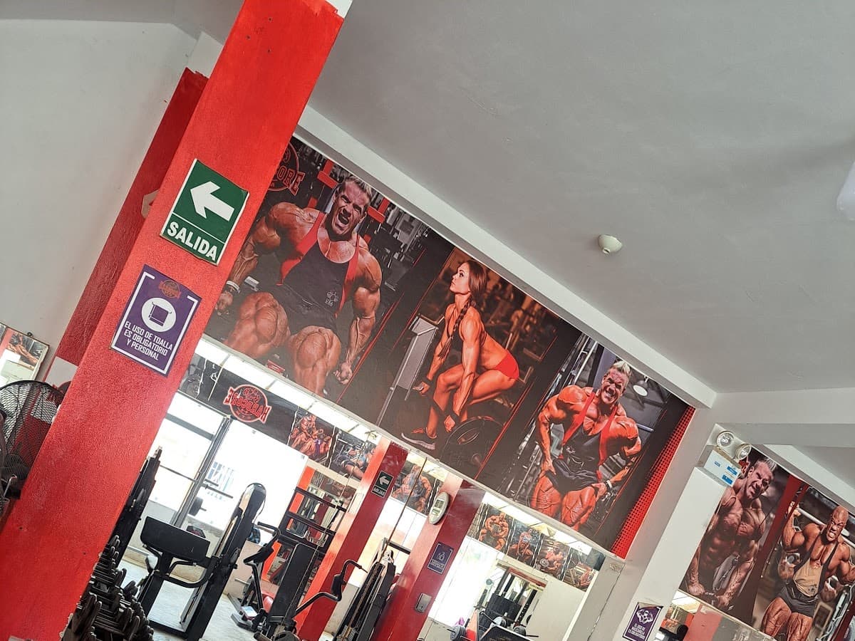 Gimnasio Brigym — foto
