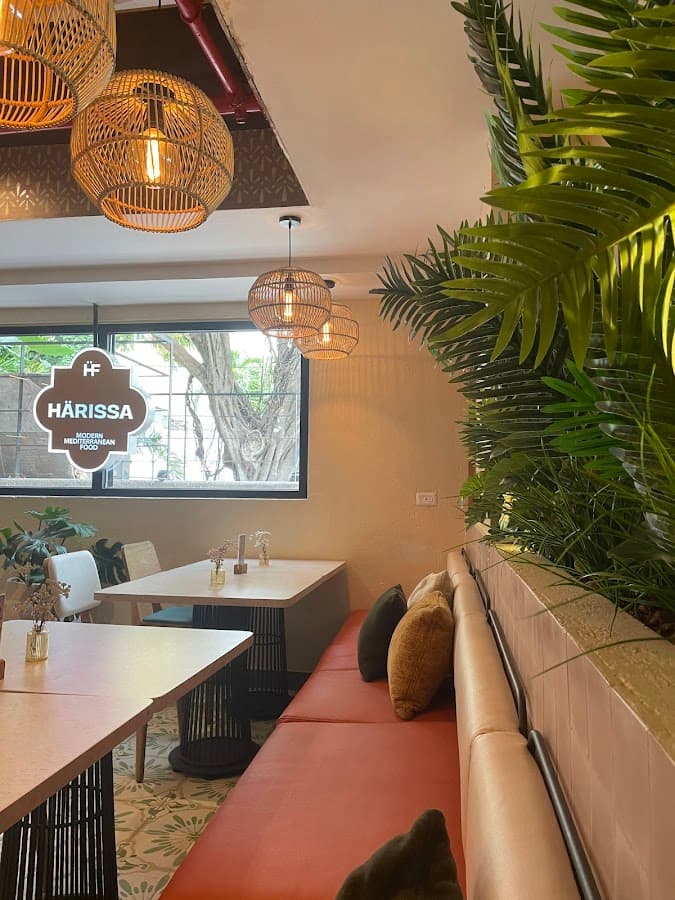 Harissa Bocagrande Cartagena