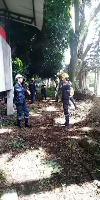 Escuela Normal Superior De Ibagué — foto