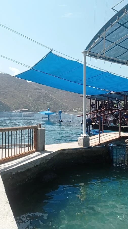 Acuario Mundo Marino — foto