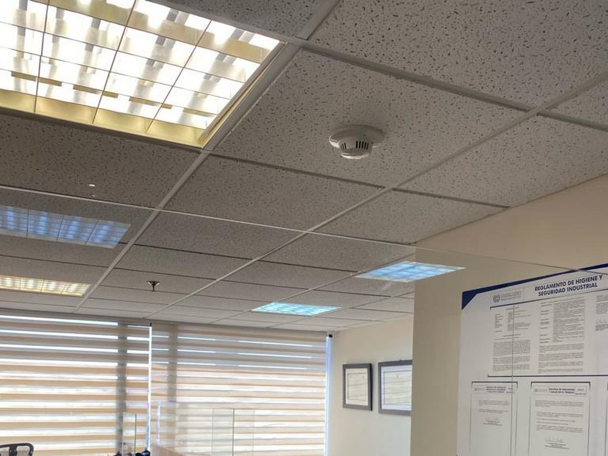 Abogados Escolar, Alemán & Carvajal — foto