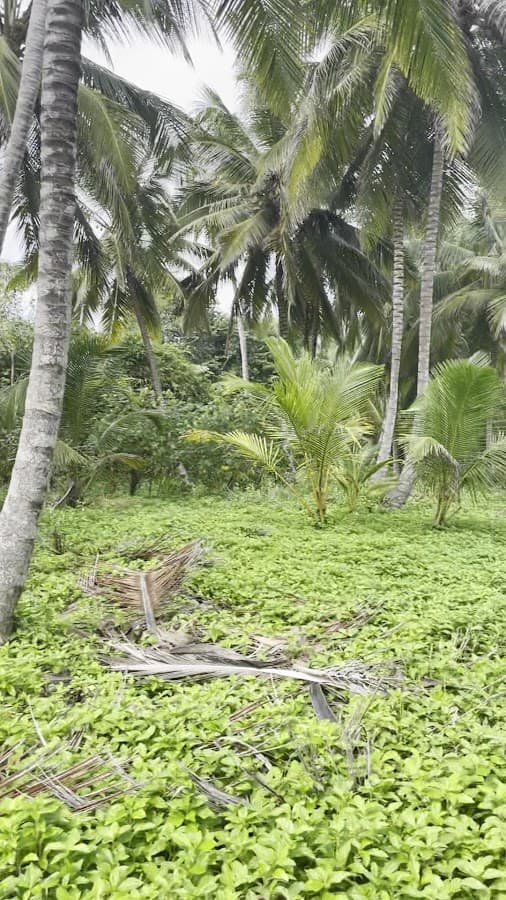La Mágica Travel Santa Marta — foto
