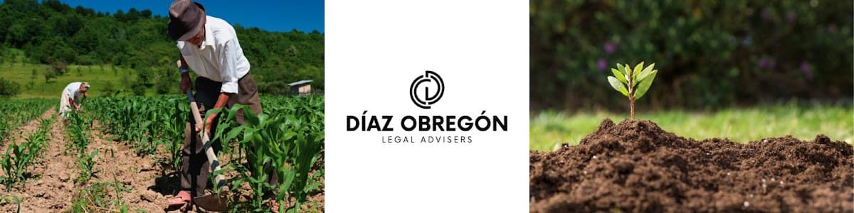 Díaz Obregón Legal Advisers