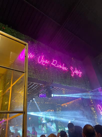 Salvaje Bar — foto