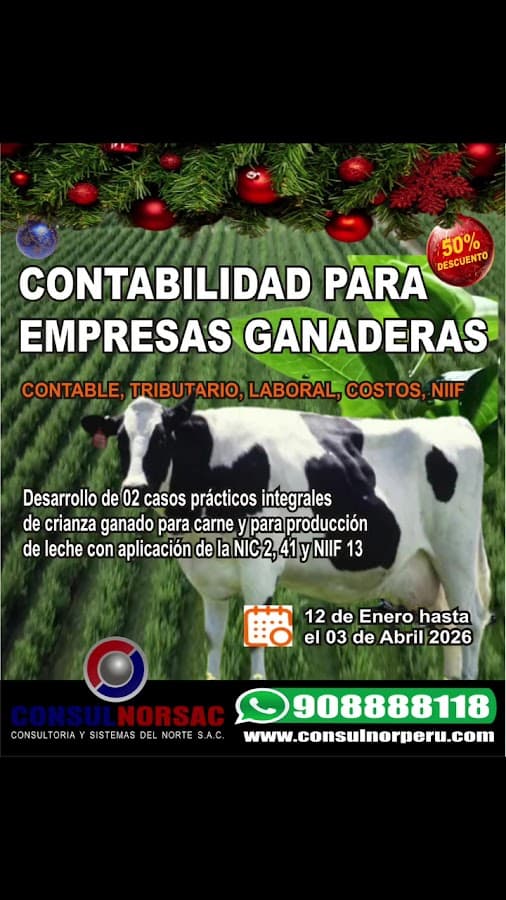 Consultoría y Sistemas del Norte S.A.C. — foto